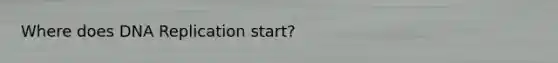 Where does DNA Replication start?
