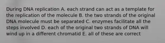 During DNA replication A. each strand can act as a template for the replication of the molecule B. the two strands of the original DNA molecule must be separated C. enzymes facilitate all the steps involved D. each of the original two strands of DNA will wind up in a different chromatid E. all of these are correct