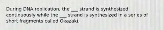 During DNA replication, the ___ strand is synthesized continuously while the ___ strand is synthesized in a series of short fragments called Okazaki.