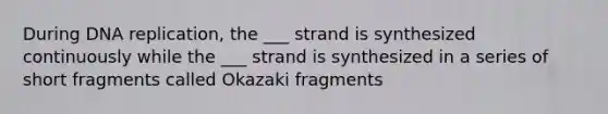 During <a href='https://www.questionai.com/knowledge/kofV2VQU2J-dna-replication' class='anchor-knowledge'>dna replication</a>, the ___ strand is synthesized continuously while the ___ strand is synthesized in a series of short fragments called Okazaki fragments