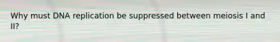 Why must DNA replication be suppressed between meiosis I and II?