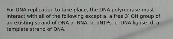 For DNA replication to take place, the DNA polymerase must interact with all of the following except a. a free 3ʹ OH group of an existing strand of DNA or RNA. b. dNTPs. c. DNA ligase. d. a template strand of DNA.