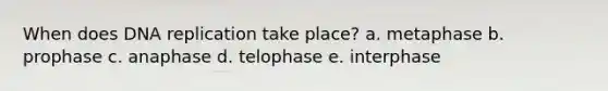 When does DNA replication take place? a. metaphase b. prophase c. anaphase d. telophase e. interphase