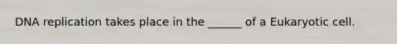 DNA replication takes place in the ______ of a Eukaryotic cell.