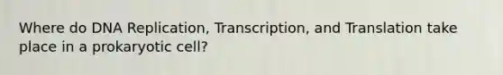 Where do <a href='https://www.questionai.com/knowledge/kofV2VQU2J-dna-replication' class='anchor-knowledge'>dna replication</a>, Transcription, and Translation take place in a prokaryotic cell?