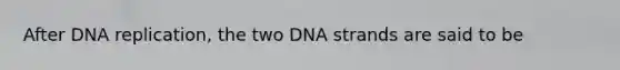 After DNA replication, the two DNA strands are said to be