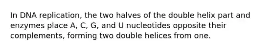 In DNA replication, the two halves of the double helix part and enzymes place A, C, G, and U nucleotides opposite their complements, forming two double helices from one.