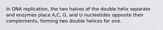 In DNA replication, the two halves of the double helix separate and enzymes place A,C, G, and U nucleotides opposite their complements, forming two double helices for one.