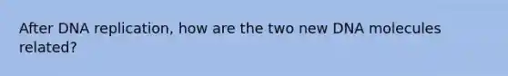 After DNA replication, how are the two new DNA molecules related?