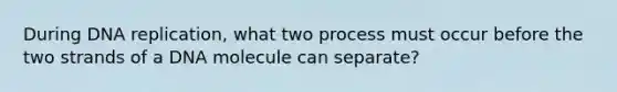 During DNA replication, what two process must occur before the two strands of a DNA molecule can separate?