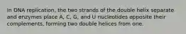 In DNA replication, the two strands of the double helix separate and enzymes place A, C, G, and U nucleotides opposite their complements, forming two double helices from one.