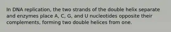 In DNA replication, the two strands of the double helix separate and enzymes place A, C, G, and U nucleotides opposite their complements, forming two double helices from one.