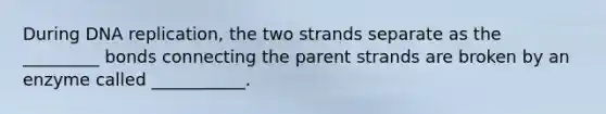 During <a href='https://www.questionai.com/knowledge/kofV2VQU2J-dna-replication' class='anchor-knowledge'>dna replication</a>, the two strands separate as the _________ bonds connecting the parent strands are broken by an enzyme called ___________.