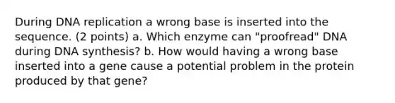 During DNA replication a wrong base is inserted into the sequence. (2 points) a. Which enzyme can "proofread" DNA during DNA synthesis? b. How would having a wrong base inserted into a gene cause a potential problem in the protein produced by that gene?