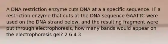 A DNA restriction enzyme cuts DNA at a a specific sequence. IF a restriction enzyme that cuts at the DNA sequence GAATTC were used on the DNA strand below, and the resulting fragment were put through electrophoresis, how many bands would appear on the electrophoresis gel? 2 6 4 3