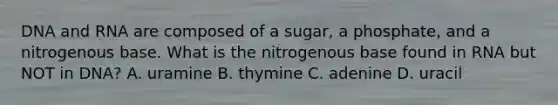 DNA and RNA are composed of a sugar, a phosphate, and a nitrogenous base. What is the nitrogenous base found in RNA but NOT in DNA? A. uramine B. thymine C. adenine D. uracil