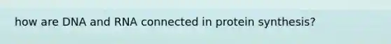 how are DNA and RNA connected in protein synthesis?