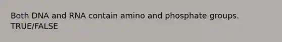 Both DNA and RNA contain amino and phosphate groups. TRUE/FALSE