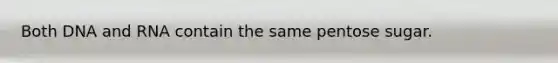Both DNA and RNA contain the same pentose sugar.