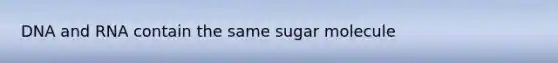 DNA and RNA contain the same sugar molecule