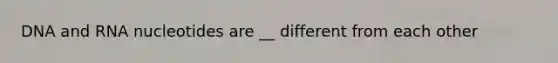 DNA and RNA nucleotides are __ different from each other