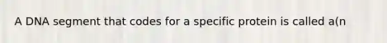 A DNA segment that codes for a specific protein is called a(n