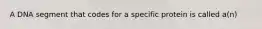A DNA segment that codes for a specific protein is called a(n)