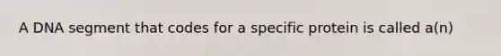 A DNA segment that codes for a specific protein is called a(n)