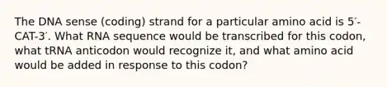 The DNA sense (coding) strand for a particular amino acid is 5′-CAT-3′. What RNA sequence would be transcribed for this codon, what tRNA anticodon would recognize it, and what amino acid would be added in response to this codon?