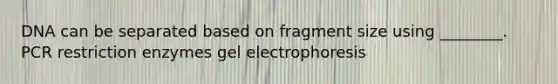 DNA can be separated based on fragment size using ________. PCR restriction enzymes gel electrophoresis