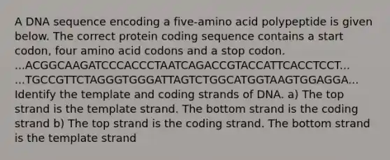 A DNA sequence encoding a five-amino acid polypeptide is given below. The correct protein coding sequence contains a start codon, four amino acid codons and a stop codon. ...ACGGCAAGATCCCACCCTAATCAGACCGTACCATTCACCTCCT... ...TGCCGTTCTAGGGTGGGATTAGTCTGGCATGGTAAGTGGAGGA... Identify the template and coding strands of DNA. a) The top strand is the template strand. The bottom strand is the coding strand b) The top strand is the coding strand. The bottom strand is the template strand