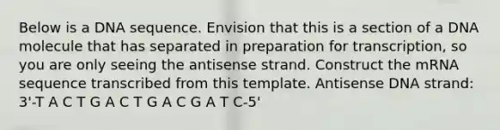 Below is a DNA sequence. Envision that this is a section of a DNA molecule that has separated in preparation for transcription, so you are only seeing the antisense strand. Construct the mRNA sequence transcribed from this template. Antisense DNA strand: 3'-T A C T G A C T G A C G A T C-5'