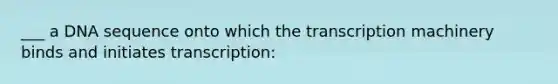 ___ a DNA sequence onto which the transcription machinery binds and initiates transcription: