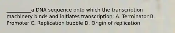 __________a DNA sequence onto which the transcription machinery binds and initiates transcription: A. Terminator B. Promoter C. Replication bubble D. Origin of replication