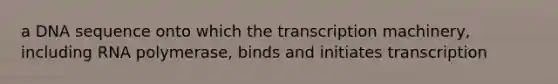 a DNA sequence onto which the transcription machinery, including RNA polymerase, binds and initiates transcription