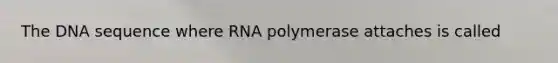 The DNA sequence where RNA polymerase attaches is called