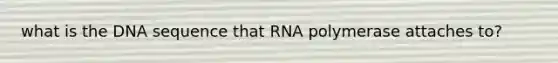 what is the DNA sequence that RNA polymerase attaches to?