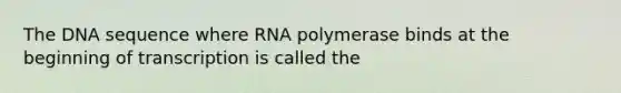 The DNA sequence where RNA polymerase binds at the beginning of transcription is called the