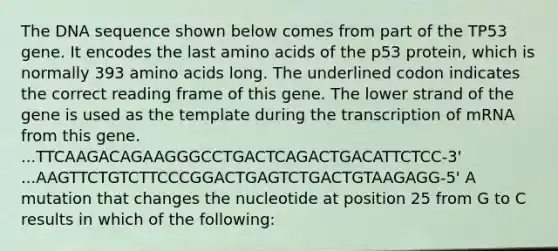 The DNA sequence shown below comes from part of the TP53 gene. It encodes the last amino acids of the p53 protein, which is normally 393 amino acids long. The underlined codon indicates the correct reading frame of this gene. The lower strand of the gene is used as the template during the transcription of mRNA from this gene. ...TTCAAGACAGAAGGGCCTGACTCAGACTGACATTCTCC-3' ...AAGTTCTGTCTTCCCGGACTGAGTCTGACTGTAAGAGG-5' A mutation that changes the nucleotide at position 25 from G to C results in which of the following: