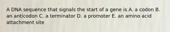 A DNA sequence that signals the start of a gene is A. a codon B. an anticodon C. a terminator D. a promoter E. an amino acid attachment site