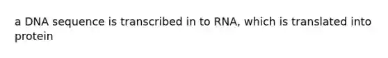 a DNA sequence is transcribed in to RNA, which is translated into protein