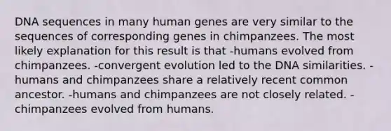 DNA sequences in many human genes are very similar to the sequences of corresponding genes in chimpanzees. The most likely explanation for this result is that -humans evolved from chimpanzees. -convergent evolution led to the DNA similarities. -humans and chimpanzees share a relatively recent common ancestor. -humans and chimpanzees are not closely related. -chimpanzees evolved from humans.