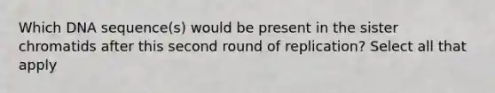 Which DNA sequence(s) would be present in the sister chromatids after this second round of replication? Select all that apply