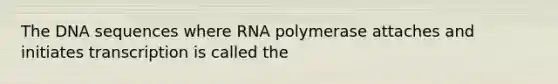 The DNA sequences where RNA polymerase attaches and initiates transcription is called the