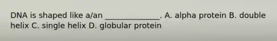 DNA is shaped like a/an ______________. A. alpha protein B. double helix C. single helix D. globular protein