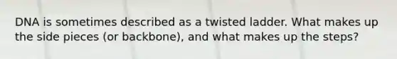 DNA is sometimes described as a twisted ladder. What makes up the side pieces (or backbone), and what makes up the steps?