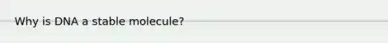 Why is DNA a stable molecule?