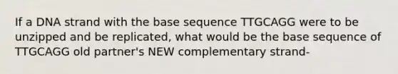 If a DNA strand with the base sequence TTGCAGG were to be unzipped and be replicated, what would be the base sequence of TTGCAGG old partner's NEW complementary strand-