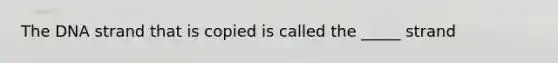 The DNA strand that is copied is called the _____ strand
