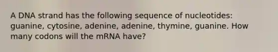 A DNA strand has the following sequence of nucleotides: guanine, cytosine, adenine, adenine, thymine, guanine. How many codons will the mRNA have?